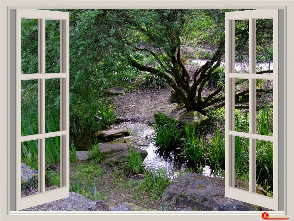 window, garden, window frames